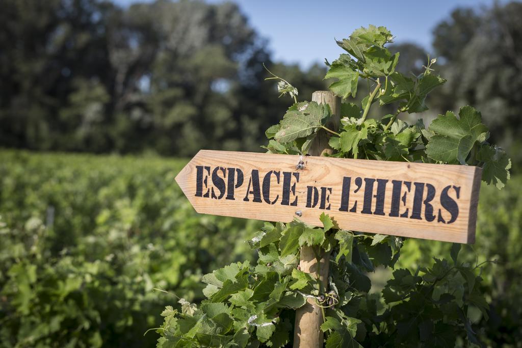 Espace De L'Hers Chateauneuf-du-Pape Luaran gambar